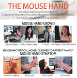 Ergonomic Vertical Wireless Mouse (Computer, Health)