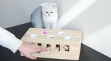 Funny Cat Whack Toy