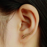 Nature Leaf Earrings for Ladies & Girls (Jewelry)