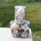 Smart Copy-Talking Hamster Plush Toy for your Child/Pet