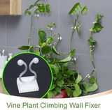 Plant Climbing Wall Fixture (Garden/Home Decor)