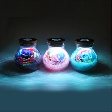 Creatively Romantic Bulb Rose Flower Bottle LED Home Dimmer Lamp