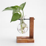 Plant Terrarium With Wooden Stand (Garden/Home Decor)