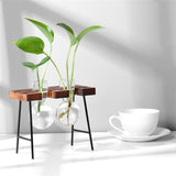 Plant Terrarium With Wooden Stand (Garden/Home Decor)