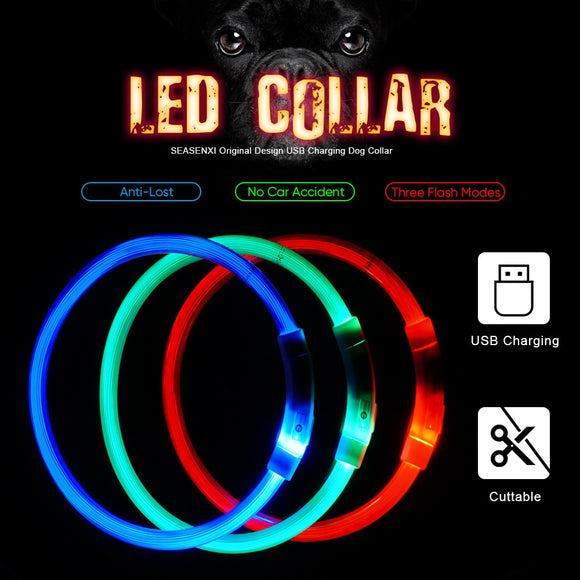 Ultra Bright LED Dog Safety Collar